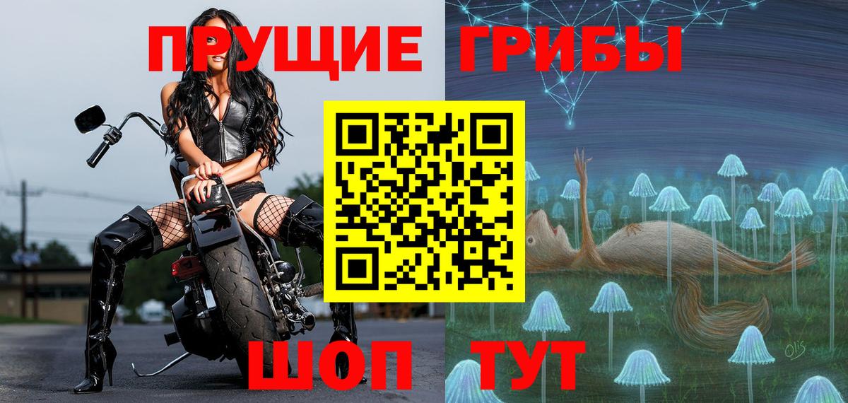 Кисловодск  Галлюциногенные грибы прущие грибы  Вход с VPN 